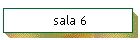 sala 6